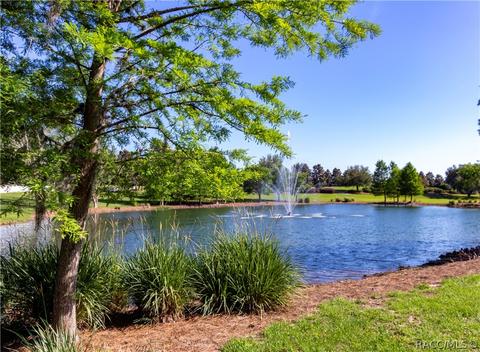 1656 W Spring Meadow Loop, Lecanto, FL 34461 photo 39