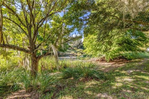 1656 W Spring Meadow Loop, Lecanto, FL 34461 photo 27