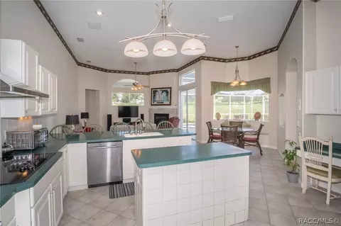 371 W Mickey Mantle Path, Hernando, FL 34442 photo 9