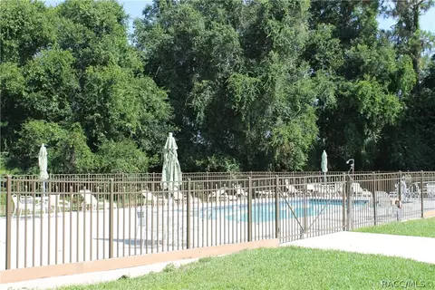 3193 N Chandler Dr, Hernando, FL 34442 photo 26