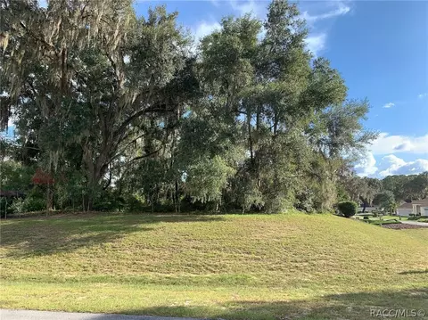 3193 N Chandler Dr, Hernando, FL 34442 photo 12
