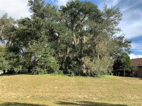 3193 N Chandler Dr, Hernando, FL 34442 photo 13