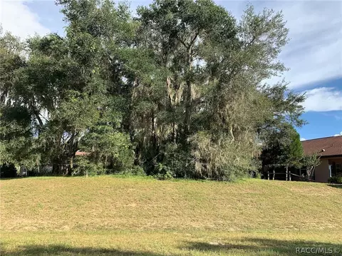 3193 N Chandler Dr, Hernando, FL 34442 photo 3