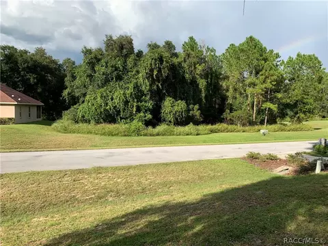 3193 N Chandler Dr, Hernando, FL 34442 photo 20