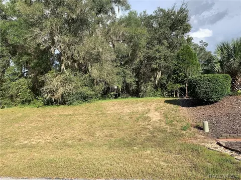 3193 N Chandler Dr, Hernando, FL 34442 photo 7