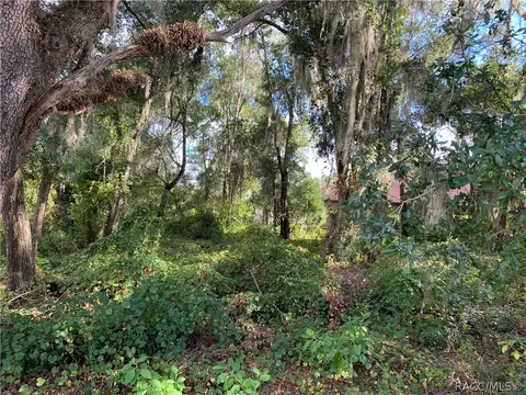 3193 N Chandler Dr, Hernando, FL 34442 photo 18
