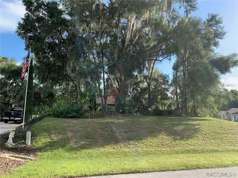 3193 N Chandler Dr, Hernando, FL 34442 photo 9