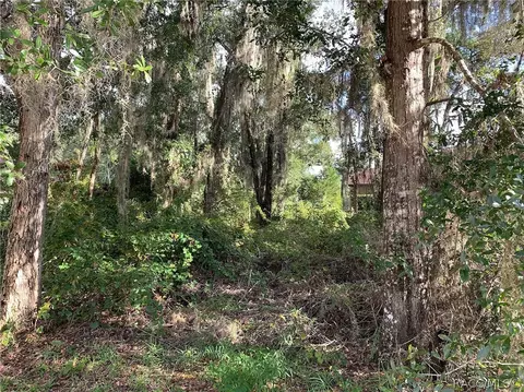 3193 N Chandler Dr, Hernando, FL 34442 photo 16