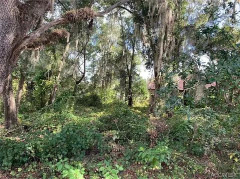 3193 N Chandler Dr, Hernando, FL 34442 photo 8
