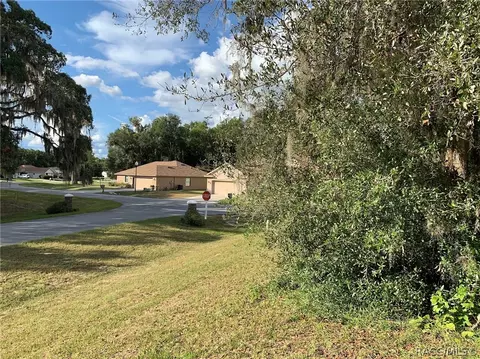 3193 N Chandler Dr, Hernando, FL 34442 photo 11