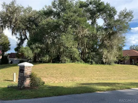 3193 N Chandler Dr, Hernando, FL 34442 photo 4