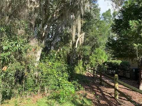 3193 N Chandler Dr, Hernando, FL 34442 photo 19