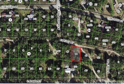 3842 E Peggy St, Hernando, FL 34442 photo 1