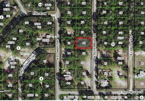 6514 N Silverbell Ter, Hernando, FL 34442 photo 1