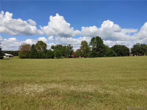 671 E Bismark St, Hernando, FL 34442 photo 9