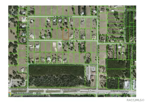 699 E Bismark St, Hernando, FL 34442 photo 12