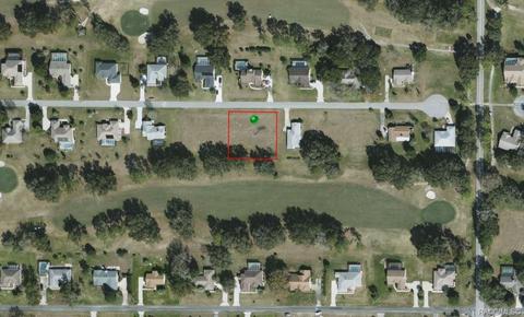 314 Eureka Ct, Hernando, FL 34442 photo 3