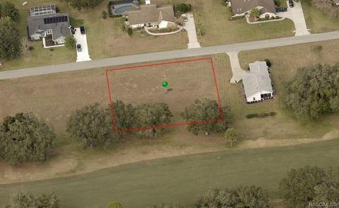 314 Eureka Ct, Hernando, FL 34442 photo 1