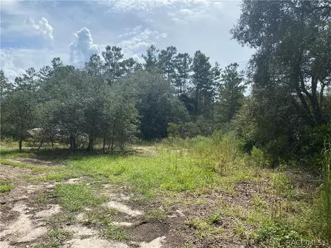 5739 S Calder Pt, Homosassa, FL 34446