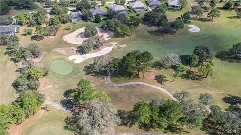3087 W Shadow Creek Loop, Lecanto, FL 34461 photo 34