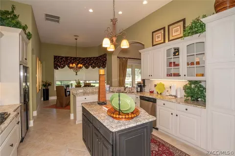 3087 W Shadow Creek Loop, Lecanto, FL 34461 photo 8