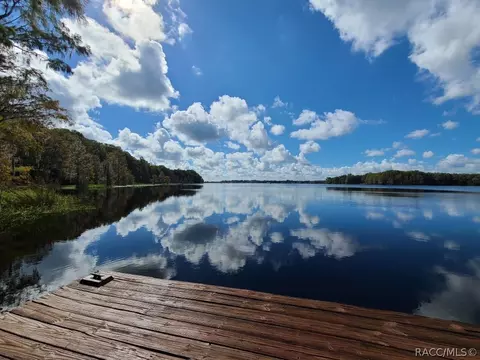 5988 N Alvin Pt, Hernando, FL 34442 photo 24