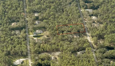 1300 W Pearson St, Hernando, FL 34442 photo 2