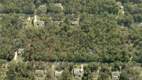 1300 W Pearson St, Hernando, FL 34442 photo 3