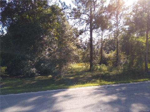 3662 E Sutter Ln, Inverness, FL 34453 photo 1