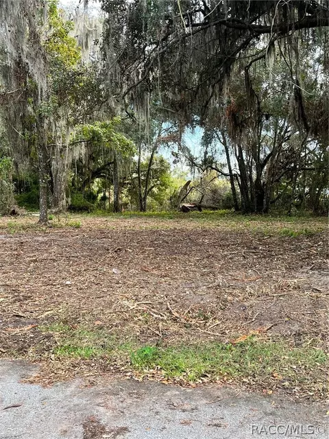 5810 N Tsala Apopka Dr, Hernando, FL 34442 photo 4