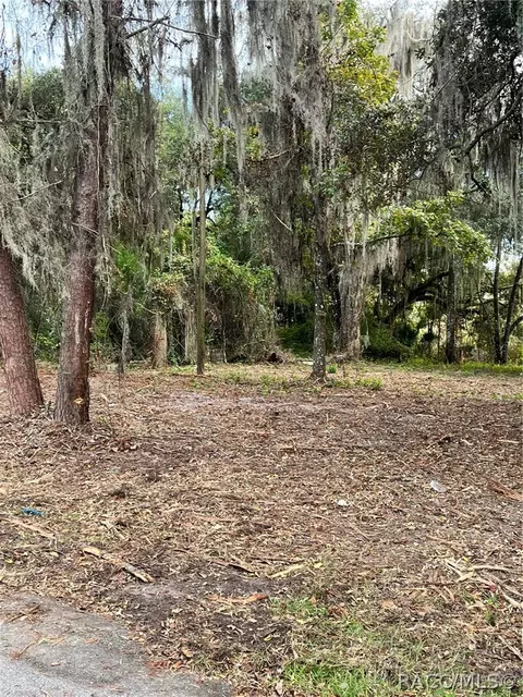 5810 N Tsala Apopka Dr, Hernando, FL 34442 photo 6