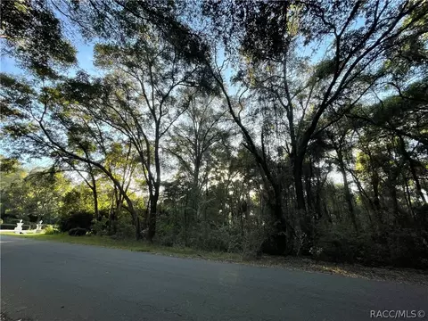 4196 N Indianriver Dr, Hernando, FL 34442 photo 3