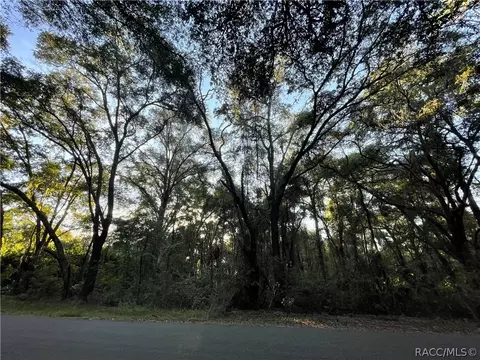4196 N Indianriver Dr, Hernando, FL 34442 photo 4