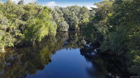 10564 N Dawnflower Pt, Crystal River, FL 34428