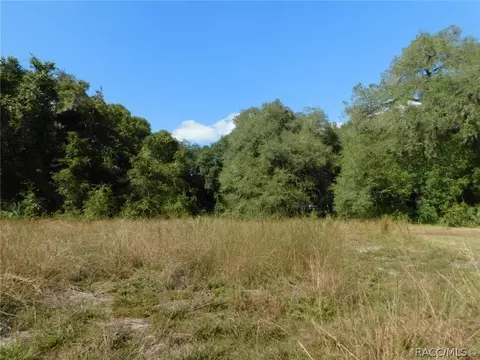 6789 E Channel Dr, Hernando, FL 34442 photo 24