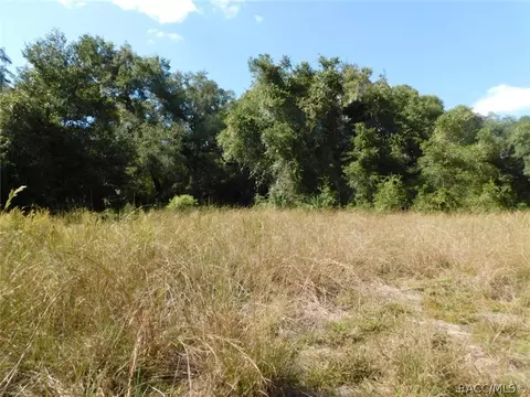 6789 E Channel Dr, Hernando, FL 34442 photo 23