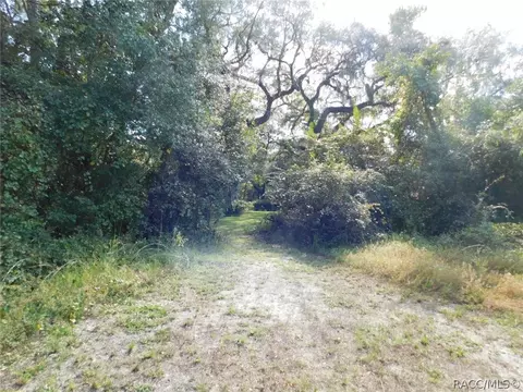 6789 E Channel Dr, Hernando, FL 34442 photo 26