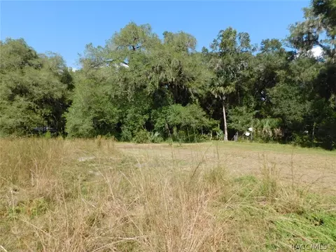 6789 E Channel Dr, Hernando, FL 34442 photo 25