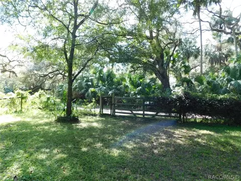 6789 E Channel Dr, Hernando, FL 34442 photo 29