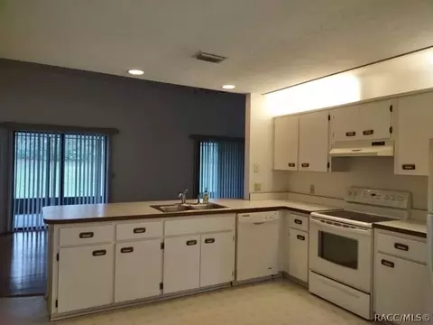 620 W Diamond Bird Loop, Hernando, FL 34442 photo 4