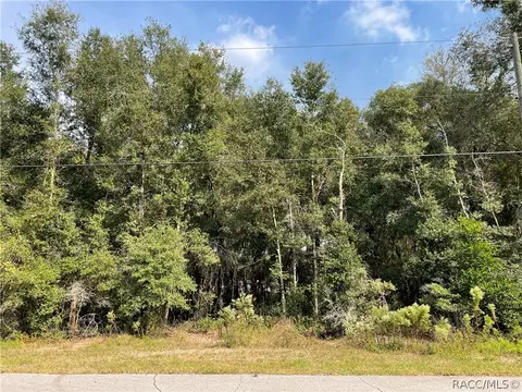 5201 N Western Dr, Hernando, FL 34442 photo 1