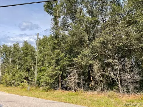 5201 N Western Dr, Hernando, FL 34442 photo 2