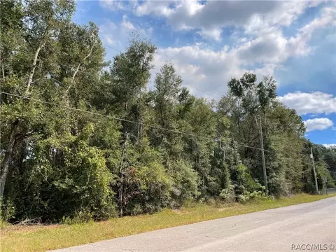5201 N Western Dr, Hernando, FL 34442 photo 3