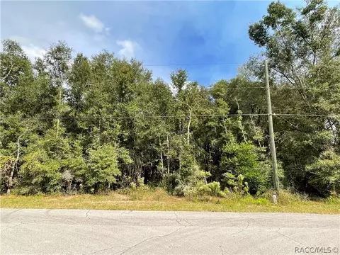 5201 N Western Dr, Hernando, FL 34442 photo 7