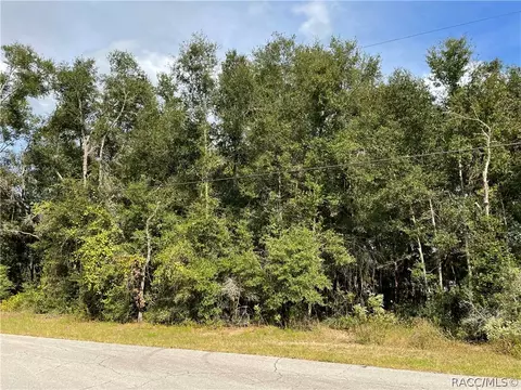 5201 N Western Dr, Hernando, FL 34442 photo 6