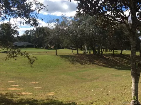 396 E Ireland Ct, Hernando, FL 34442 photo 21