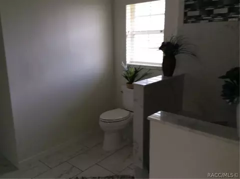 396 E Ireland Ct, Hernando, FL 34442 photo 12