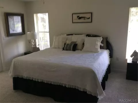 396 E Ireland Ct, Hernando, FL 34442 photo 9