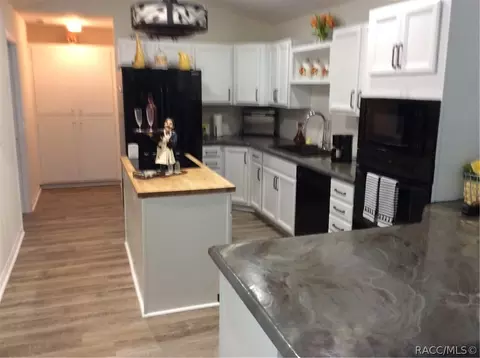 396 E Ireland Ct, Hernando, FL 34442 photo 7
