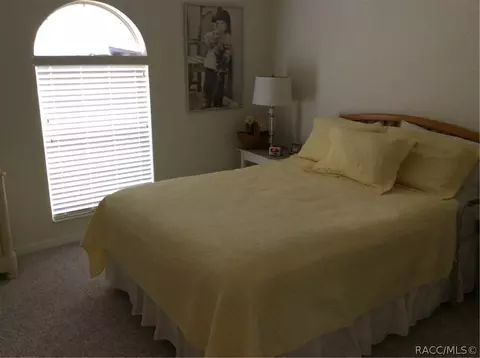 396 E Ireland Ct, Hernando, FL 34442 photo 15